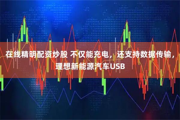在线精明配资炒股 不仅能充电，还支持数据传输，理想新能源汽车USB