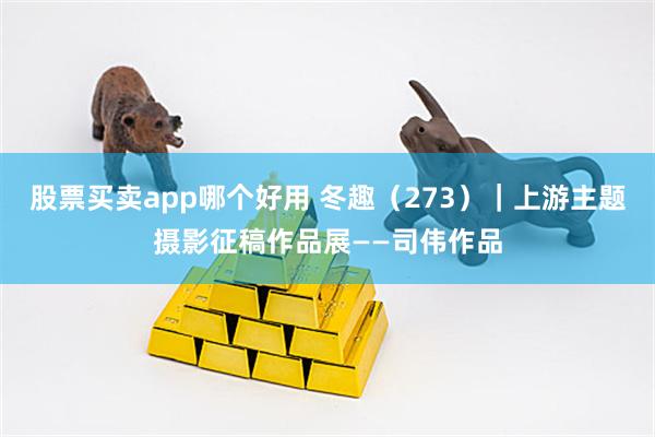 股票买卖app哪个好用 冬趣（273）｜上游主题摄影征稿作品展——司伟作品