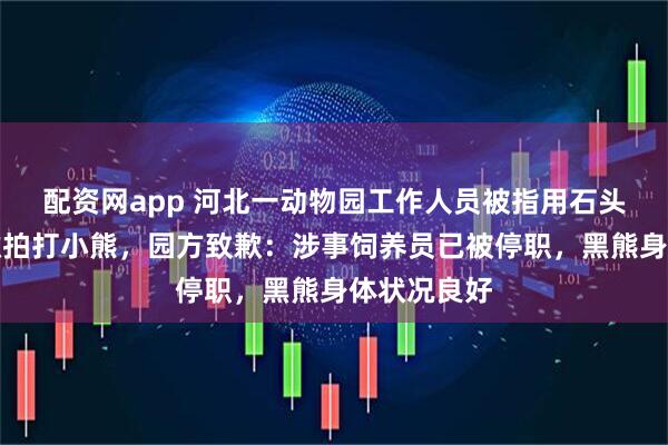 配资网app 河北一动物园工作人员被指用石头砸、用铁锹拍打小熊，园方致歉：涉事饲养员已被停职，黑熊身体状况良好
